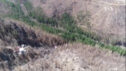 ການປູກປ່າທີ່ໄວຂຶ້ນ ດ້ວຍການໃຊ້ໂດຣນ ໃນການຫວ່ານແກ່ນພືດ ຫລັງຈາກເກີດໄຟໄໝ້