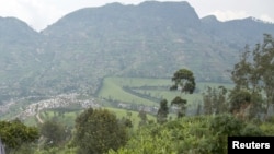 La nouvelle espèce de singe habiterait les forêts du bassin du Lomani en RDC