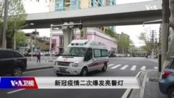 بي بي شیرینه – د ډیوه ریډیو په ټی وي خپرونه