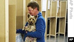 爱尔兰外长：爱尔兰人批准欧盟条约