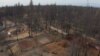 The debris of burned homes and trees has been removed leaving empty lots in a neighborhood in Paradise that was almost completely destroyed by the Camp Fire. (Elizabeth Lee/VOA News)