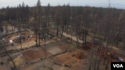 The debris of burned homes and trees has been removed leaving empty lots in a neighborhood in Paradise that was almost completely destroyed by the Camp Fire. (Elizabeth Lee/VOA News)