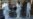 Argentine Prosecutors Advance in Fernandez Cover-Up Case