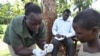 Malaria Drug May Not Help Children, Pregnant Women