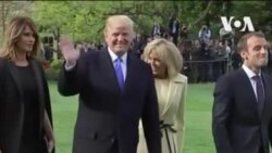 Франция отправит новый дуб в США