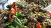 Insects Can Fill Gap in Diets, UN Says