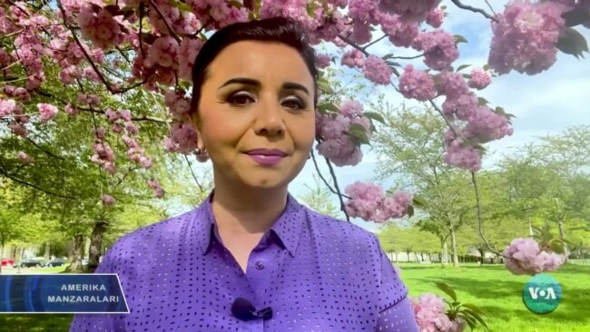 Amerika Manzaralari: Ukraina, urush vakolatlari, uyg'ur restorani