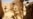 Iraqi Forces Battle ISIL Fighters for Tikrit