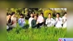 جاوید امیرخیل: موسیقي زما مینه ده