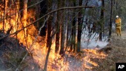 Un bombero logra controlar un incendio cerca de Tomerong, Australia, el miércoles, 8 de enero de 2020.