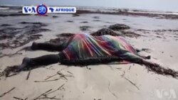 VOA60 Afrique du 03 juin 2016