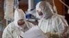 Hard-Hit Italy Sees Slowing of New Coronavirus Cases, Deaths