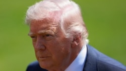 دونالد ترامپ، رئیس جمهوری آمریکا