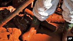 عالمی حسینہ اولیویا کلپو مقابلے میں شریک حسیناؤں کے ساتھ