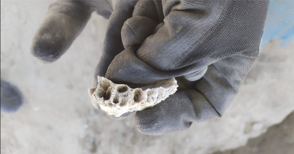 ONU pide «investigaciones exhaustivas», tras descubrimiento de restos humanos en un rancho en México