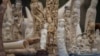 Tanzania Urges China to Curb Ivory Demand