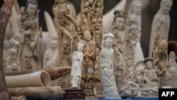 FILE - Carved ivory is shown to the media before being destroyed in Beijing on May 29, 2015. 