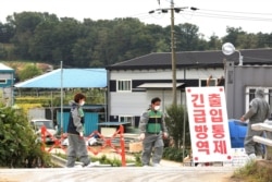FILE - Quarantine officials stand guard as a precaution against African swine fever near a pig farm in Paju, South Korea, Sept. 20, 2019.