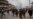 Militant Escapes from Indian Police Custody in Kashmir