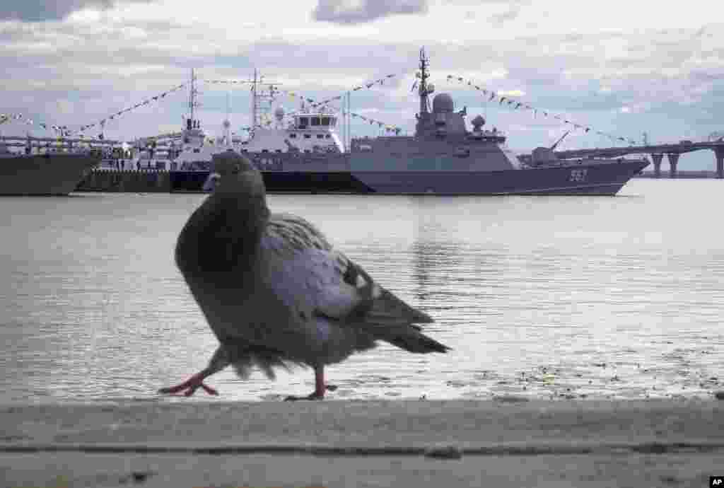 مشق و تمرین قوای بحری روسیه