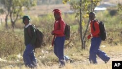 Schoolchildren return home from school after teachers boycotted their lessons, in the capital following a job boycott started via social media platforms, in Harare, July 6, 2016. 