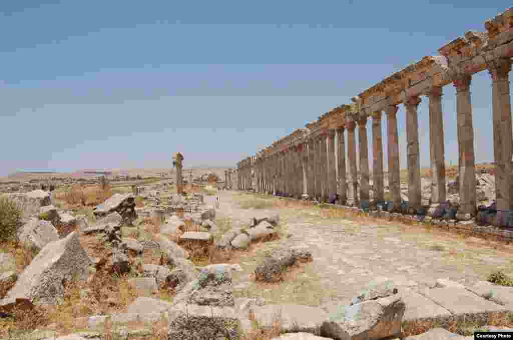 Colonnade among the ruins of Apamea, founded by Greeks on the banks of the Orontes River, photographed by Christian Sahner before the Syrian conflict began
