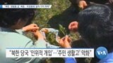 [VOA 뉴스] “북한 ‘생필품 값’ 폭등…국경봉쇄·달러 가치 하락”