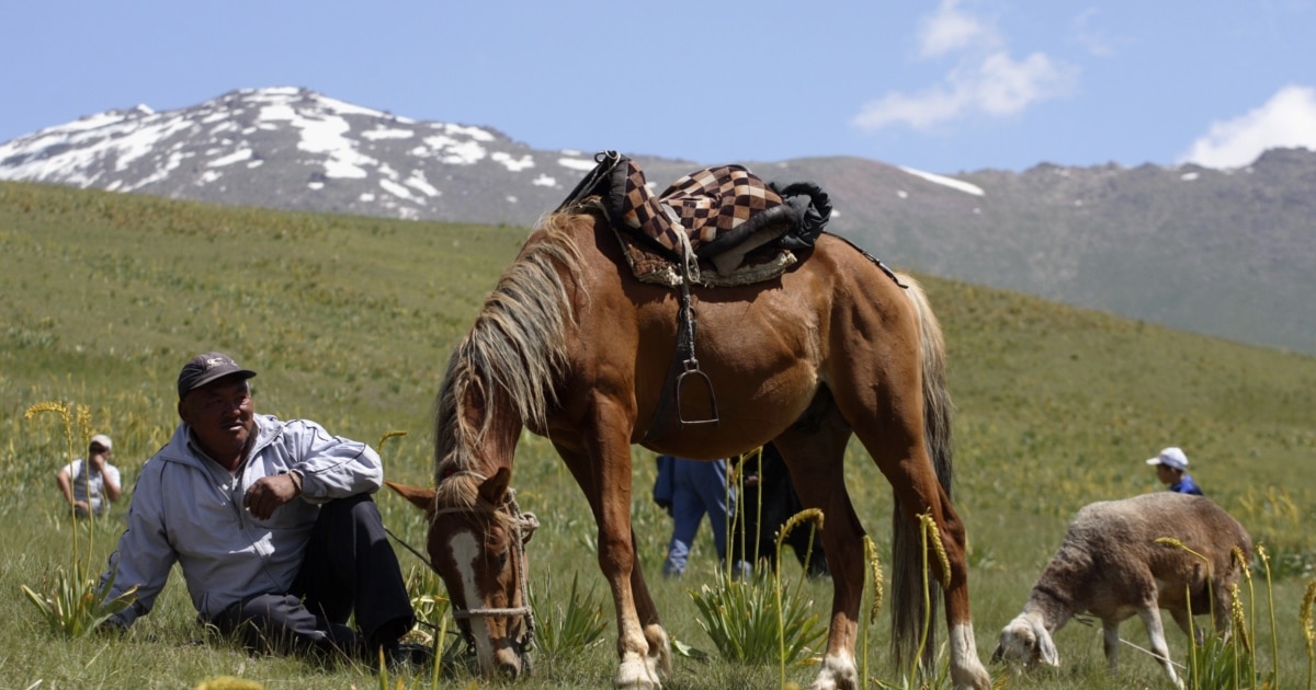 Er va xotin dostlari jinsiy aloqa video