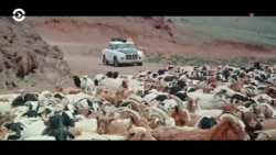 Настоящее Время. Америка – 1 июля 2019