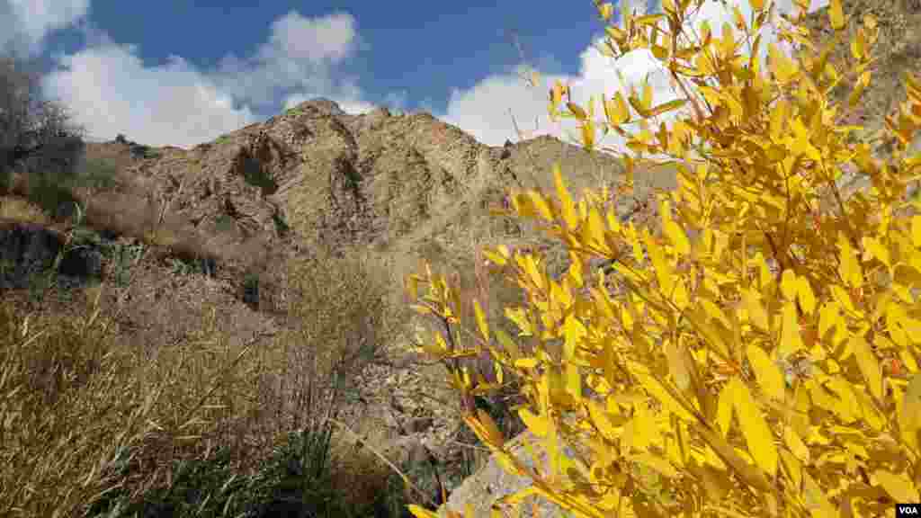 روستای ایزی شهرستان اسفراین - خراسان شمالی عکس: امید نوری اسفراین(ارسالی شما)