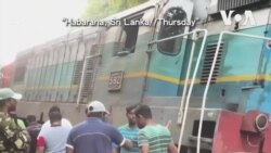 斯里蘭卡列車撞上象群後脫軌 六大象死亡