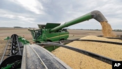 FILE - A farmer offloads soybeans from his combine as he harvests his crops in Brownsburg, Indiana, Sept. 21, 2018. 