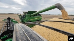 FILE - Mike Starkey offloads soybeans from his combine as he harvests his crops in Brownsburg, Indiana, Sept. 21, 2018. The USDA on Thursday announced private sales of 1.13 million tons of U.S. soybeans to China.