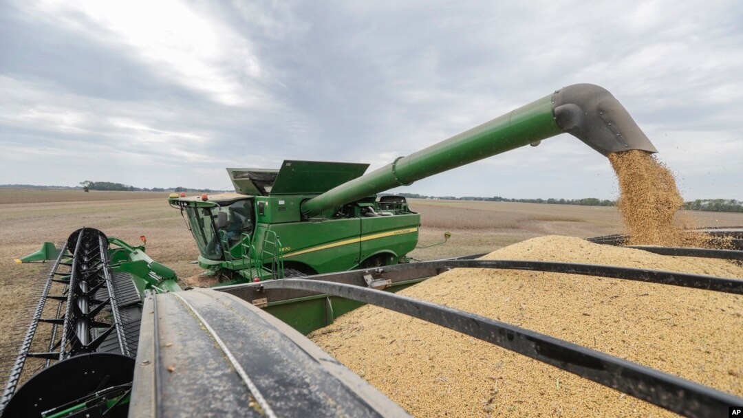 Mike Starkey offloads soybeans from his combine as he harvests his crops in Brownsburg, Indiana, Sept. 21, 2018. The U.S. is scheduled to slap tariffs on $200 billion in Chinese imports Monday, adding to the more than $50 billion worth that already face U.S. import taxes. China has vowed to counterpunch with tariffs on $60 billion in U.S. goods. 