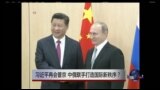 时事大家谈：习近平再会普京 中俄联手打造国际新秩序？