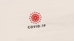 Како вакцината би штитела од Ковид-19?