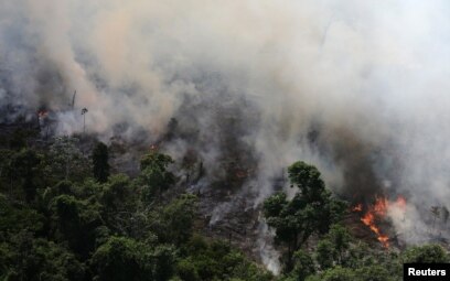 Amazon Burning Brazil Reports Record Forest Fires