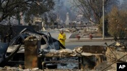 Petugas pemadam kebakaran hutan, Kim Sone, memeriksa rumah-rumah yang rusak terbakar di Santa Rosa, California, Kamis, 12 Oktober 2017.