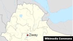 ኣብ ከተማ ዝዋይ ተወላዶ ወላይታ ኣብ ብሄር ዘተኾረ መጥቓዕቲ ተፈጺሙና ይብሉ