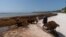 FILE - Workers remove sargassum seaweed from the Bay of Soliman, north of Tulum, Mexico, on Aug. 3, 2022. Belize, which also suffers from the foul-smelling seaweed, said on Oct. 3, 2023, that it plans to turn the stuff into biofuel.