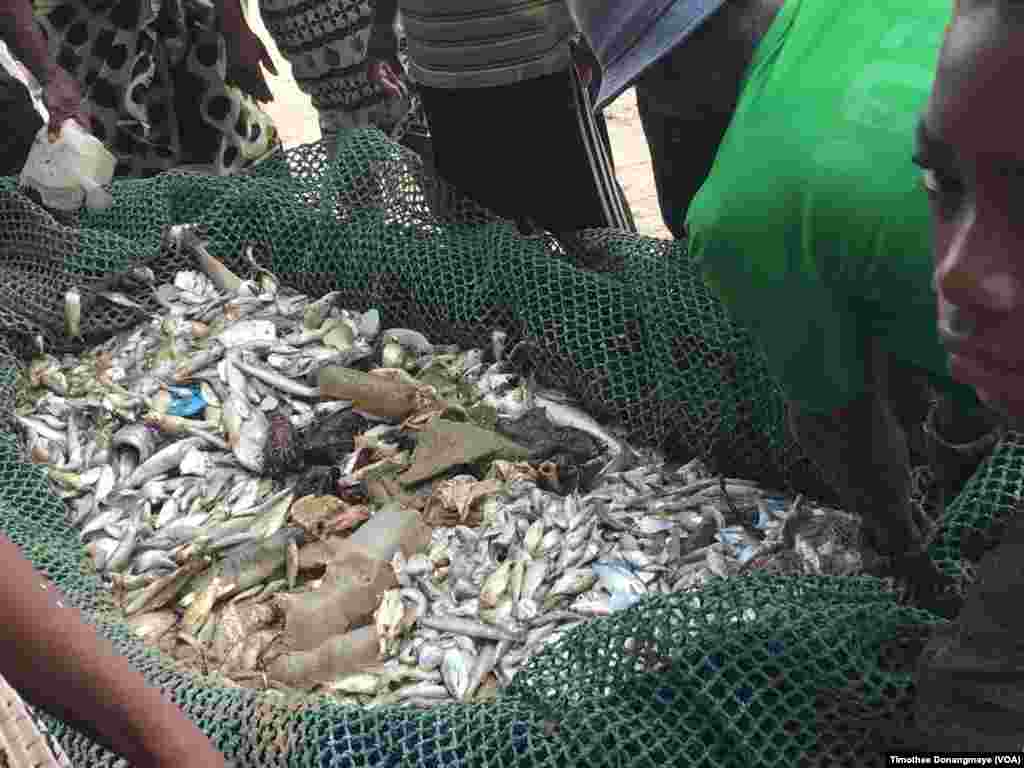 La pêche artisanale à Libreville, au Gabon, le 30 janvier 2017. (VOA/Timothee Donangmaye)