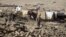 A U.S. soldier stands guard at the site of suicide attack in Wardak Province of Kabul Afghanistan, Friday, Nov, 23, 2012. 