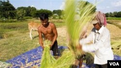 Los precios de los alimentos han sobrepasado incluso los niveles alcanzados durante la crisis de 2008.