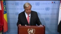 اخبار شامگاهی