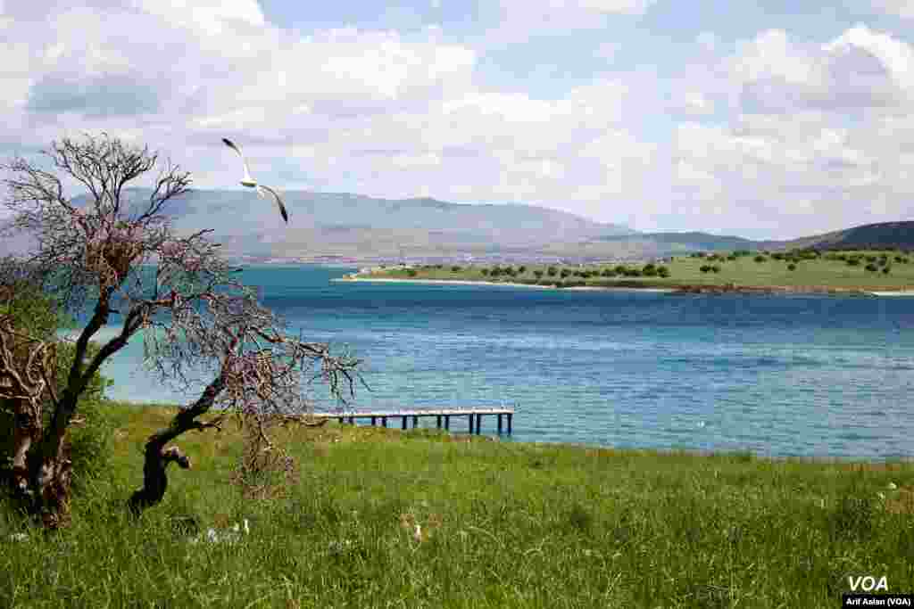 &#199;arpanak Island or Ktuts Island