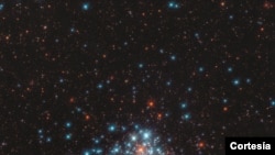 Esta apretada agrupación de miles de estrellas se encuentra cerca del borde de la Gran Nube de Magallanes, una galaxia satélite de nuestra propia Vía Láctea. [Imagen tomada por el Hubble de la NASA]. 