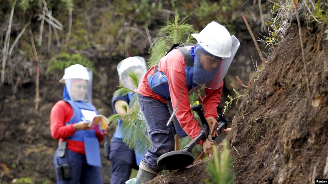 FILE - Mine detectors are used to search for landmines in Antioquia province, Colombia, Nov. 19, 2015.