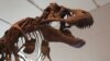 New Idea Shakes Up Dinosaur Family Tree for T. Rex and Pals