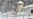 WHO: World Must Not Miss Early Signals of Any Flu Pandemic