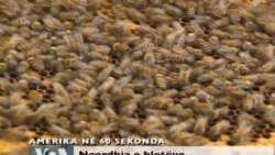 Amerika në 60 sekonda
